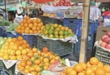 রোজার আগে পণ্যের দাম, ফল ও সবজির দাম বৃদ্ধি, ইফতারের বাজার দর, মাল্টার দাম, বেগুনের দাম, লেবুর দাম, বাজার সিন্ডিকেট, ঢাকা ফলের বাজার, Ramadan food prices, Vegetable price hike Bangladesh, Iftar bazaar price, Malta price BD, Lemon price surge, Dhaka market price, Consumer hardship