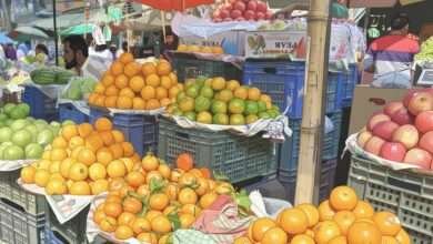 রোজার আগে পণ্যের দাম, ফল ও সবজির দাম বৃদ্ধি, ইফতারের বাজার দর, মাল্টার দাম, বেগুনের দাম, লেবুর দাম, বাজার সিন্ডিকেট, ঢাকা ফলের বাজার, Ramadan food prices, Vegetable price hike Bangladesh, Iftar bazaar price, Malta price BD, Lemon price surge, Dhaka market price, Consumer hardship